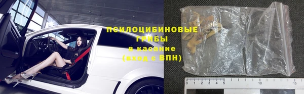 прущие грибы Верхнеуральск