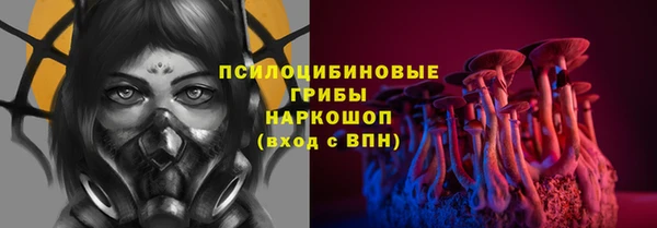 прущие грибы Верхнеуральск