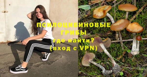 прущие грибы Верхнеуральск
