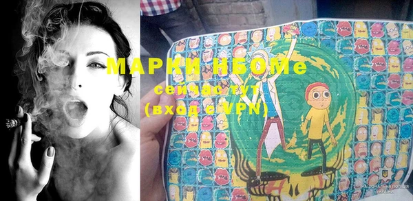 молекула духа Верхний Тагил
