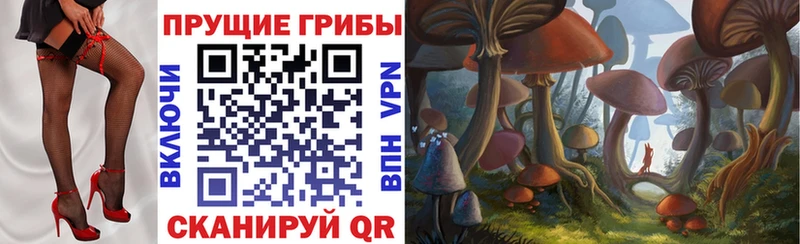 Галлюциногенные грибы Magic Shrooms  omg ТОР  Саранск 